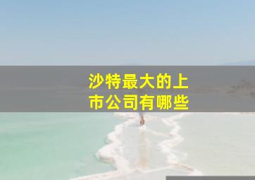 沙特最大的上市公司有哪些