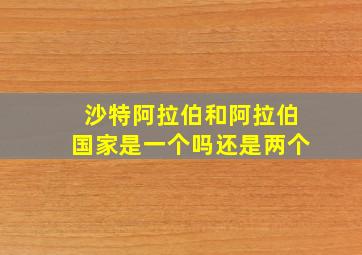 沙特阿拉伯和阿拉伯国家是一个吗还是两个