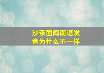 沙茶面闽南语发音为什么不一样