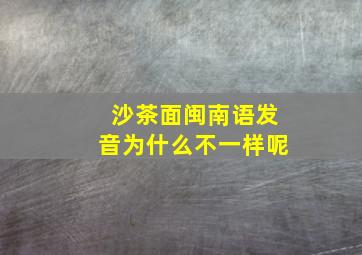 沙茶面闽南语发音为什么不一样呢