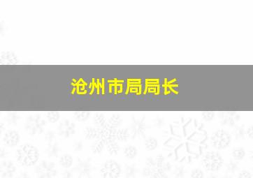 沧州市局局长