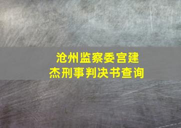 沧州监察委宫建杰刑事判决书查询