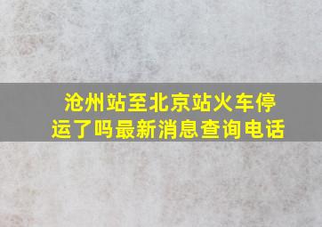 沧州站至北京站火车停运了吗最新消息查询电话