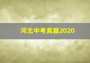 河北中考真题2020