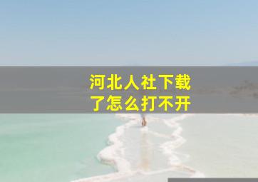 河北人社下载了怎么打不开