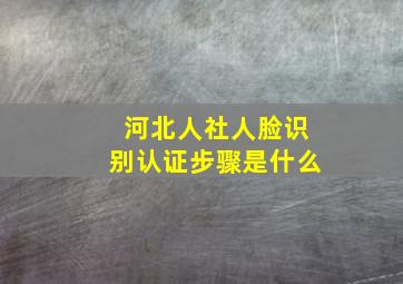 河北人社人脸识别认证步骤是什么