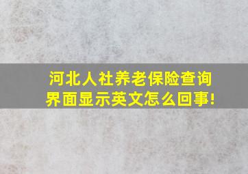 河北人社养老保险查询界面显示英文怎么回事!