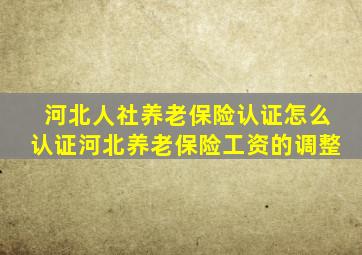 河北人社养老保险认证怎么认证河北养老保险工资的调整