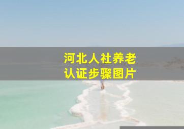 河北人社养老认证步骤图片