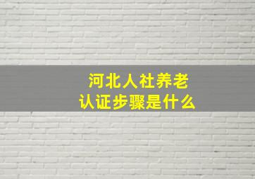 河北人社养老认证步骤是什么