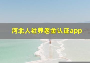 河北人社养老金认证app