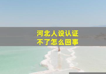 河北人设认证不了怎么回事