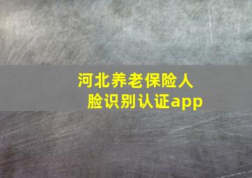 河北养老保险人脸识别认证app