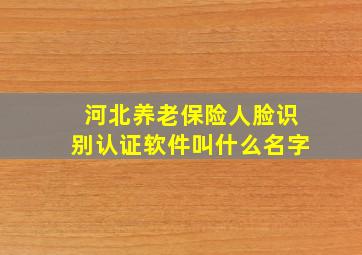 河北养老保险人脸识别认证软件叫什么名字