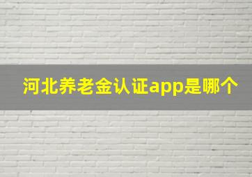 河北养老金认证app是哪个