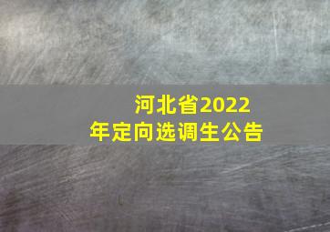 河北省2022年定向选调生公告