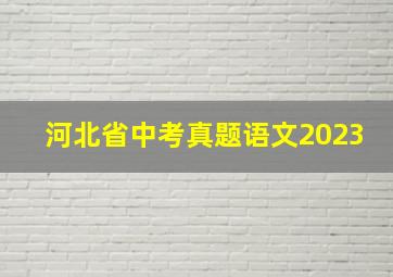 河北省中考真题语文2023