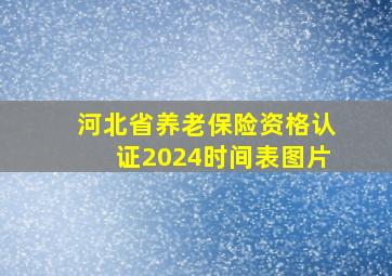 河北省养老保险资格认证2024时间表图片