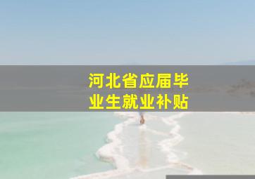 河北省应届毕业生就业补贴