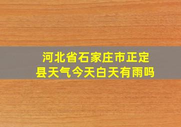 河北省石家庄市正定县天气今天白天有雨吗