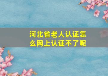 河北省老人认证怎么网上认证不了呢