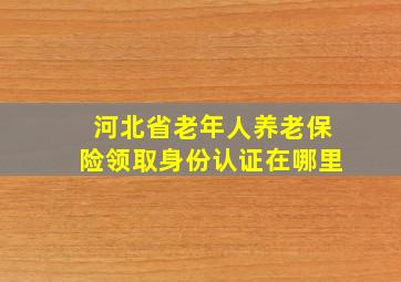 河北省老年人养老保险领取身份认证在哪里