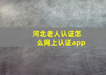 河北老人认证怎么网上认证app