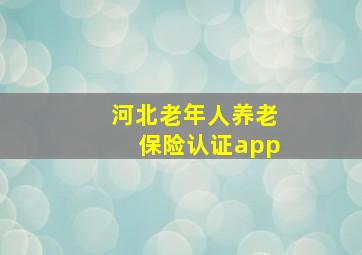 河北老年人养老保险认证app