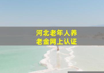 河北老年人养老金网上认证