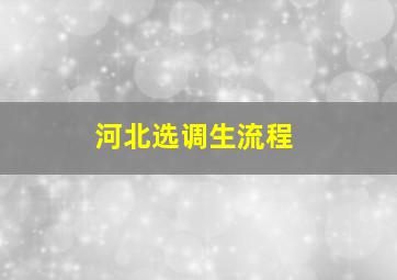 河北选调生流程