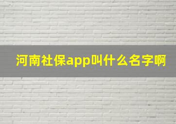 河南社保app叫什么名字啊