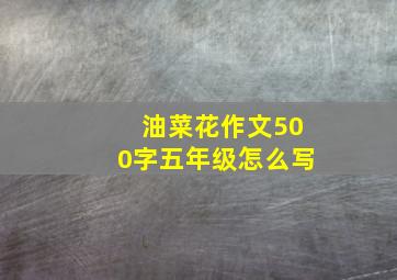 油菜花作文500字五年级怎么写