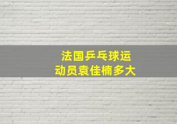 法国乒乓球运动员袁佳楠多大