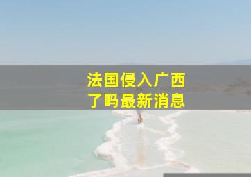 法国侵入广西了吗最新消息