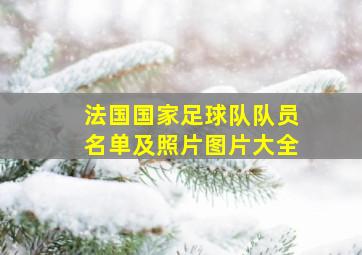 法国国家足球队队员名单及照片图片大全