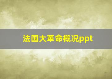 法国大革命概况ppt