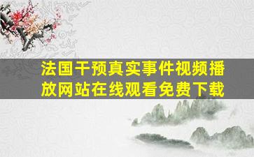 法国干预真实事件视频播放网站在线观看免费下载