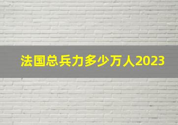 法国总兵力多少万人2023