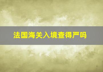 法国海关入境查得严吗