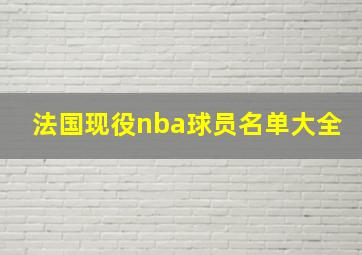 法国现役nba球员名单大全