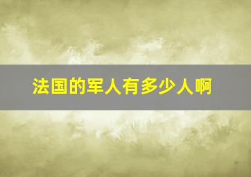 法国的军人有多少人啊