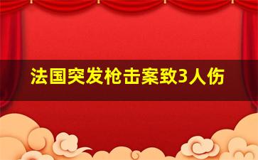 法国突发枪击案致3人伤