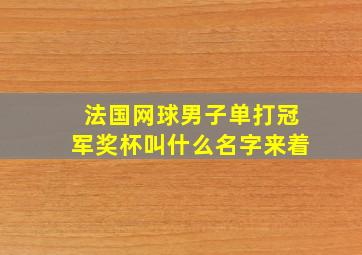 法国网球男子单打冠军奖杯叫什么名字来着