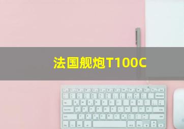 法国舰炮T100C