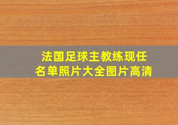 法国足球主教练现任名单照片大全图片高清