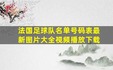 法国足球队名单号码表最新图片大全视频播放下载