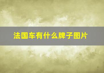 法国车有什么牌子图片