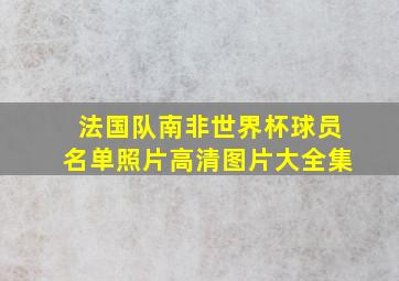 法国队南非世界杯球员名单照片高清图片大全集