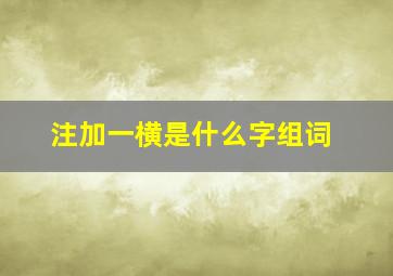 注加一横是什么字组词