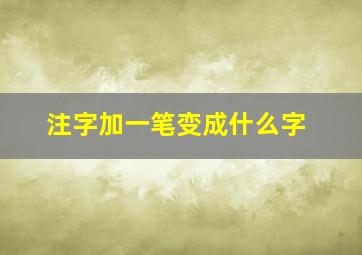 注字加一笔变成什么字